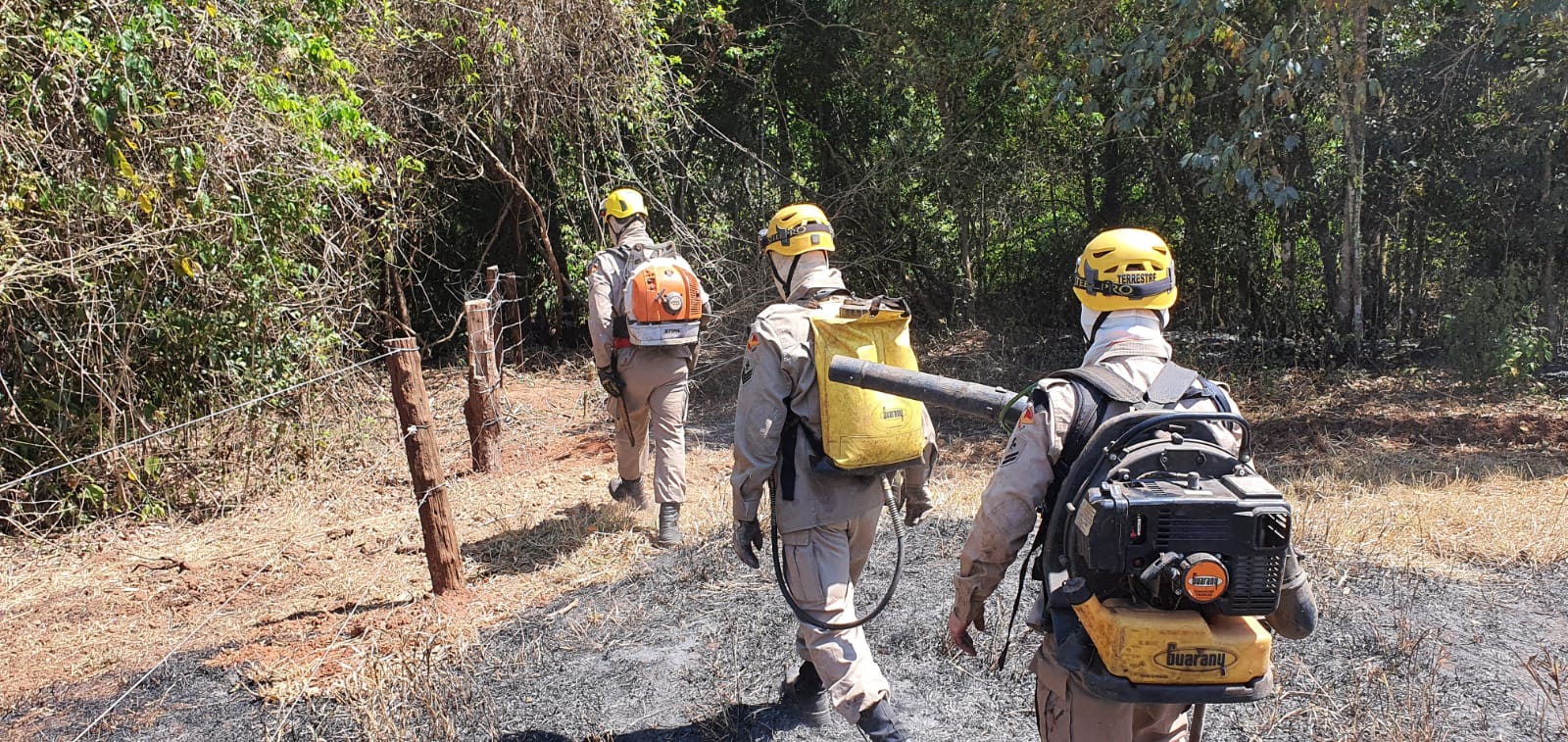 Incêndio no Parque Altamiro de Moura Pacheco já consumiu 56 hectares