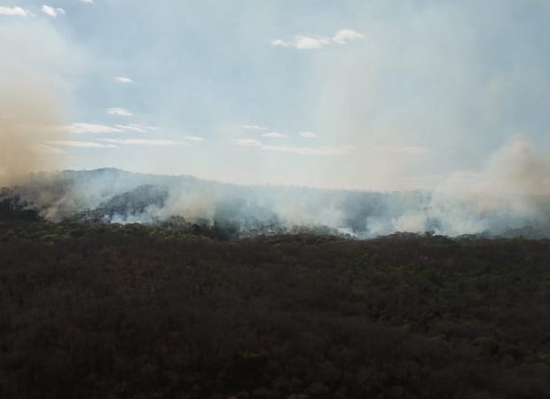 Um bombeiro militar ficou ferido depois ser atingido por uma fuligem no olho durante combate ao incêndio no Parque Estadual Altamiro de Moura Pacheco. (Foto: divulgação/Corpo de Bombeiros)