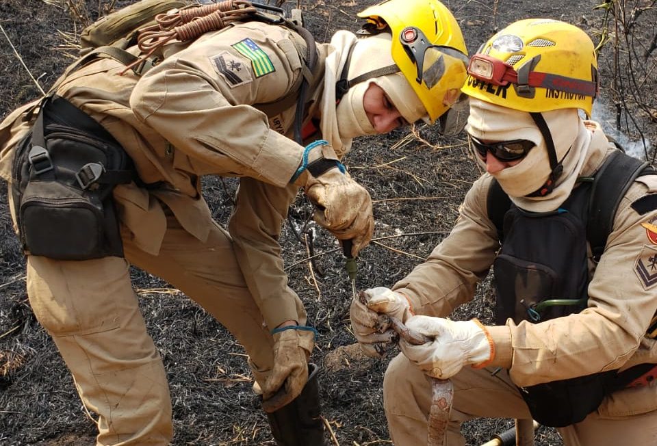 Foto: Corpo de Bombeiros