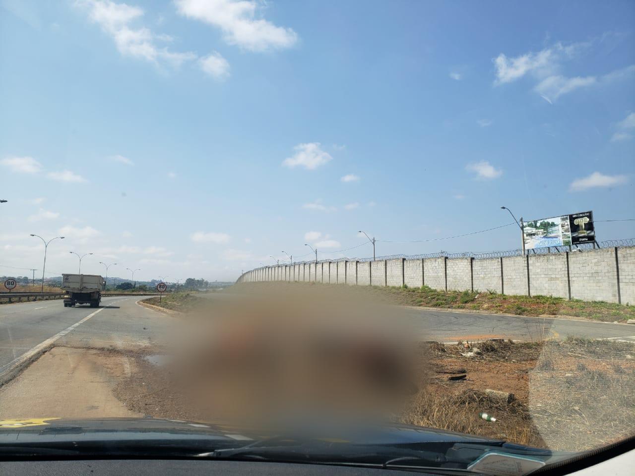 Dois cavalos morrem atropelados em acidente na BR-153, em Anápolis