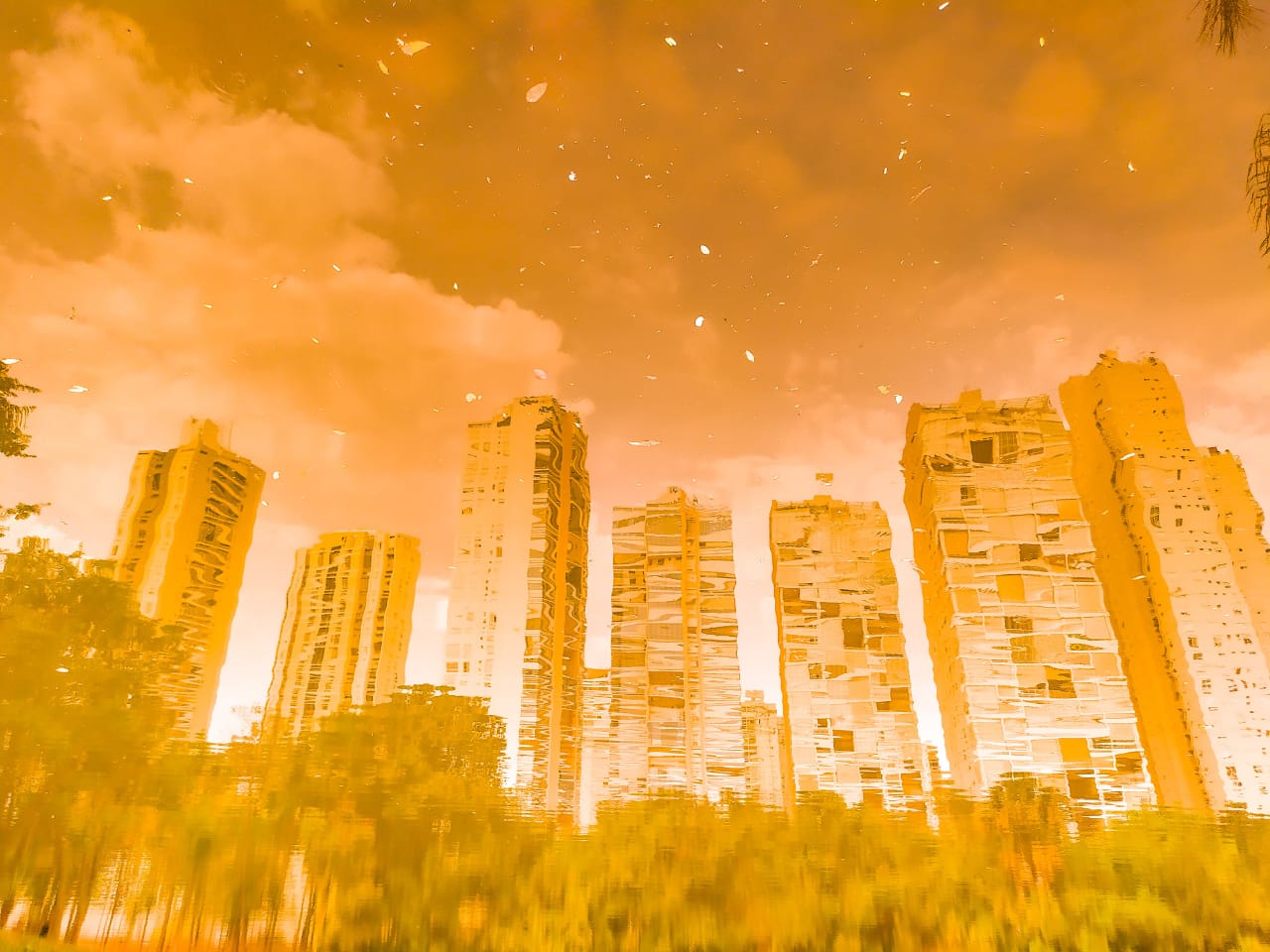 Prédios aparecem em reflexo luminoso registrado no Lago do Parque Flamboyant, Jardim Goiás, em Goiânia (Foto: Vinícius Schmidt)