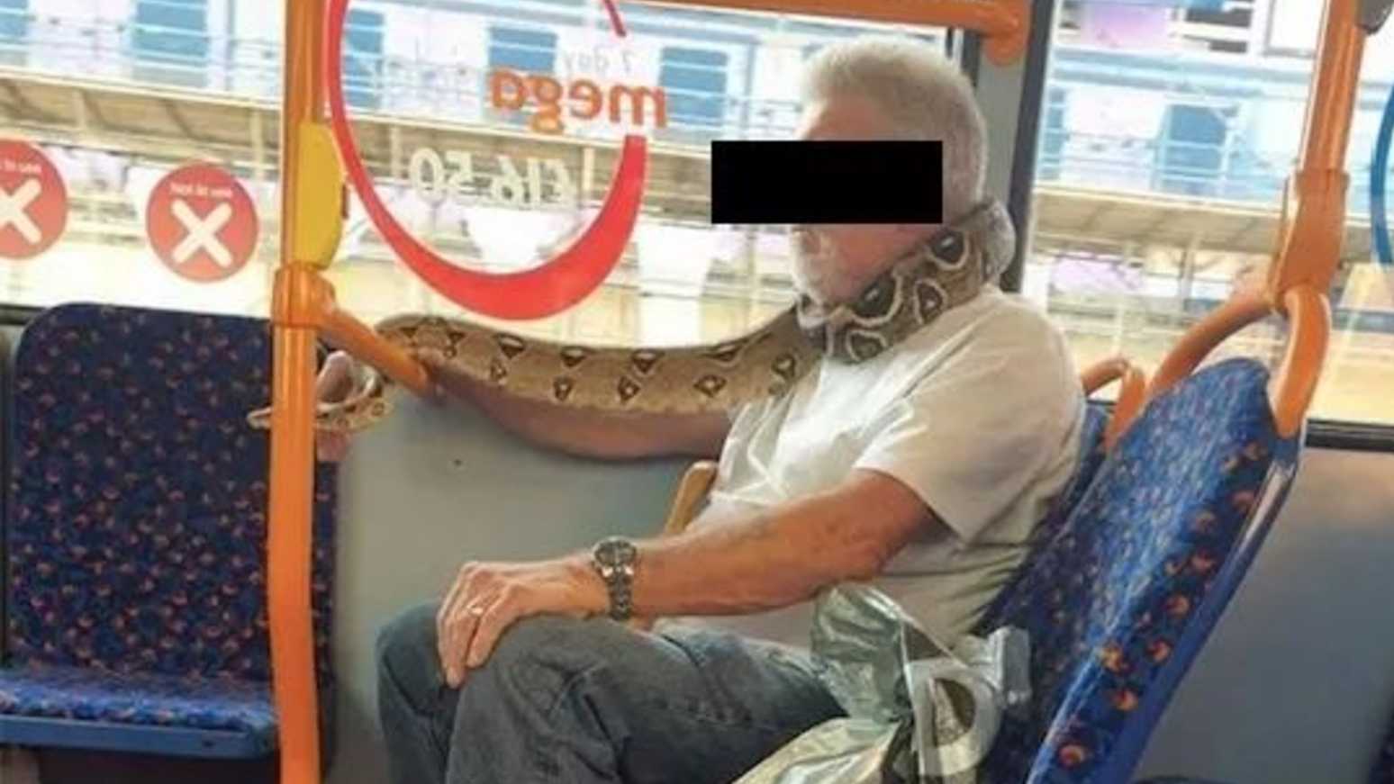 Homem usa cobra como máscara em ônibus na Inglaterra