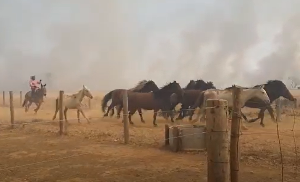 (Foto: Reprodução)