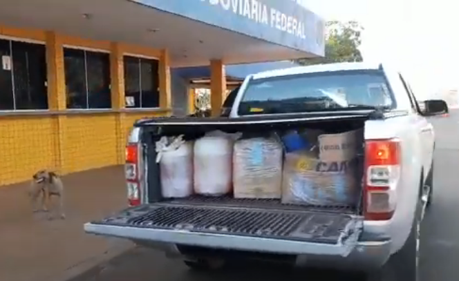 Jovem é preso com 190 quilos de maconha seis meses após deixar prisão