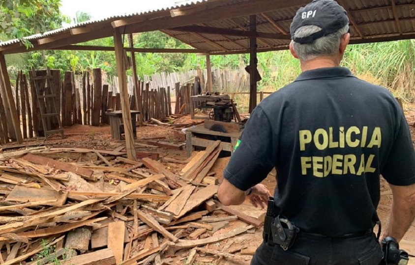 Ex-superintendente do Ibama em Goiás é investigado por tráfico de madeira