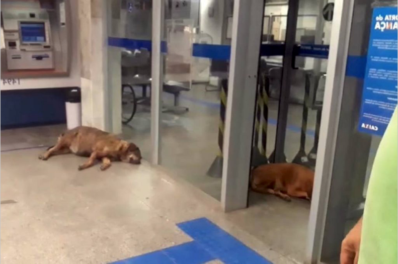 Dormindo no "geladinho" (Foto: Reprodução/Instagram)