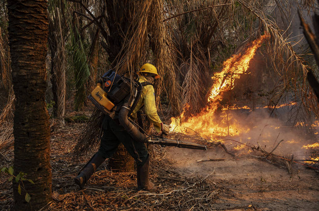 Brigadistas do Piauí, combatem o fogo utilizando um soprador (Foto: Lalo Almeida - Folhapress)