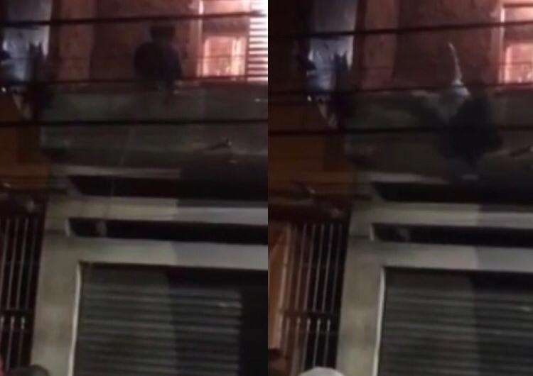 Idosa é cai de laje após tentar parar baile funk em São Paulo; vídeo