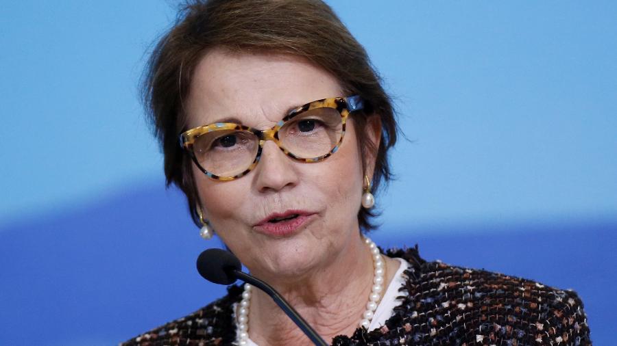 Agropecuária é parte da solução para mudanças climáticas, diz ministra