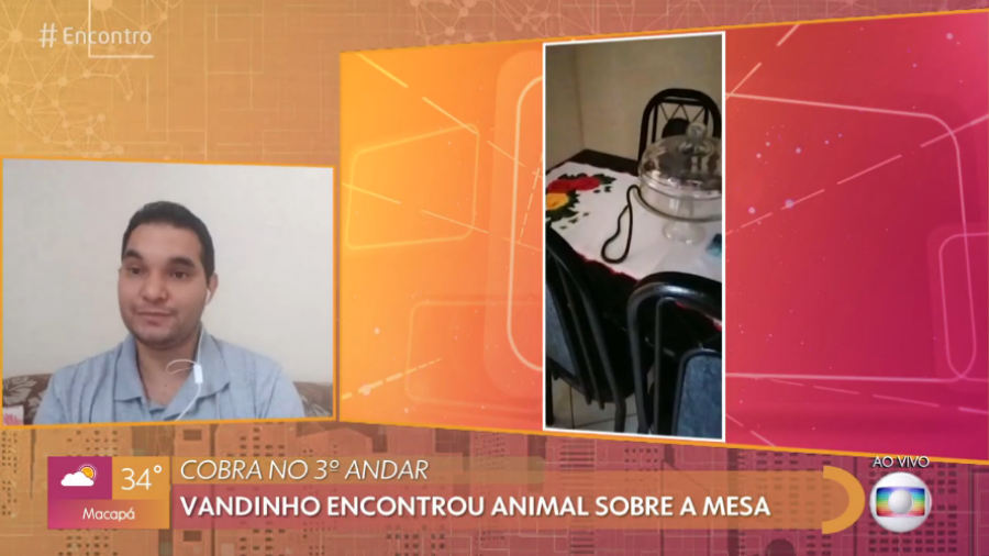 Um homem levou um susto depois de encontrar uma cobra na sala de estar onde mora, no 3º andar de um prédio no Espírito Santo. (Foto: reprodução)