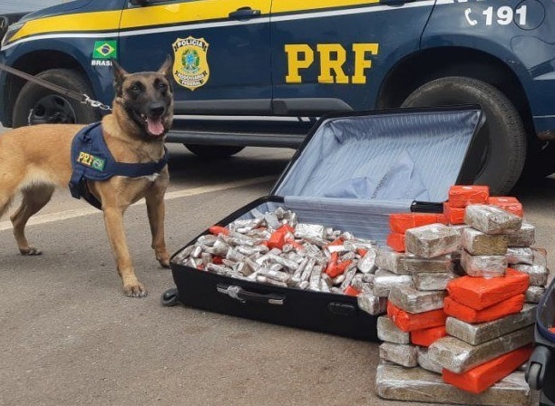 Homem é preso com 70 quilos de maconha no Recanto das Emas, DF