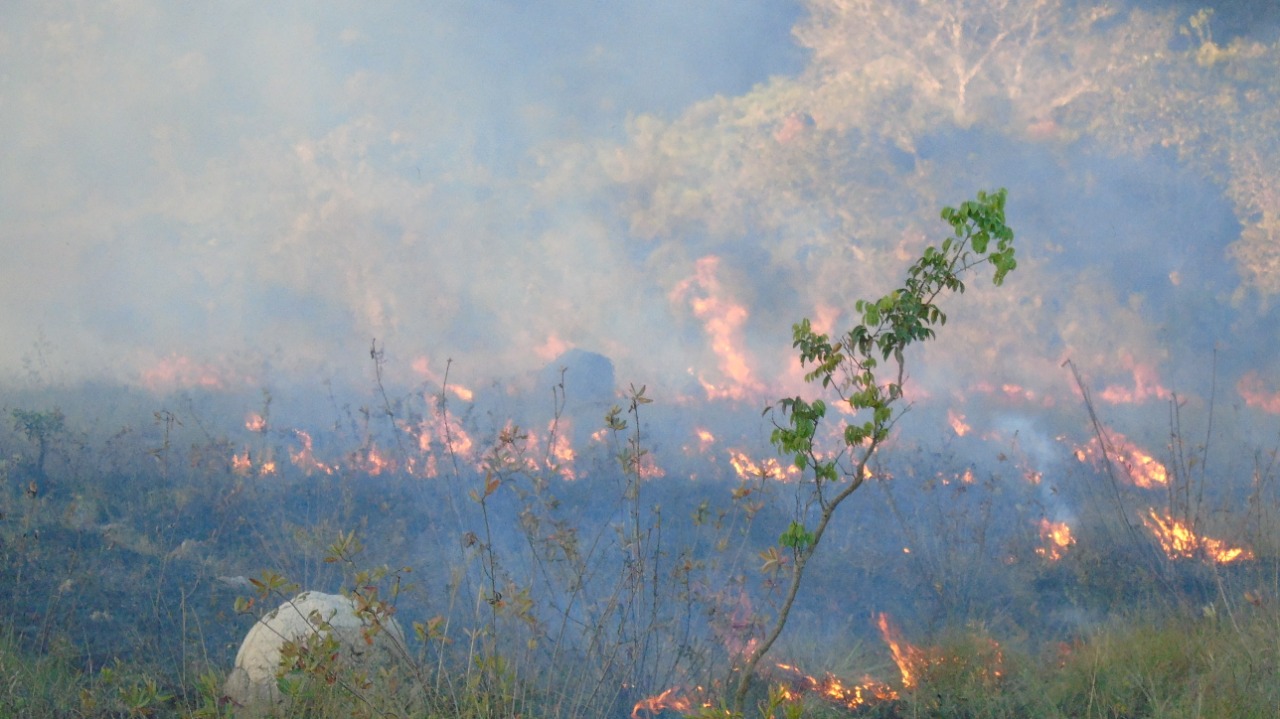 Queimadas no cerrado são as piores desde 2012 (Foto arquivo pessoal)