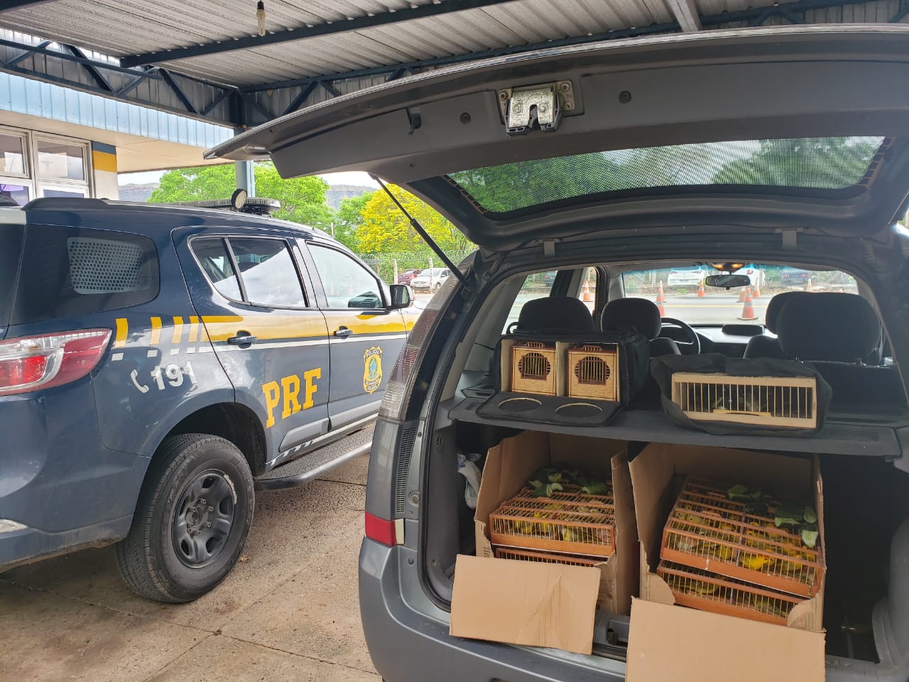 Proprietário e transportador viajavam em carros diferentes (Foto: divulgação/PRF)