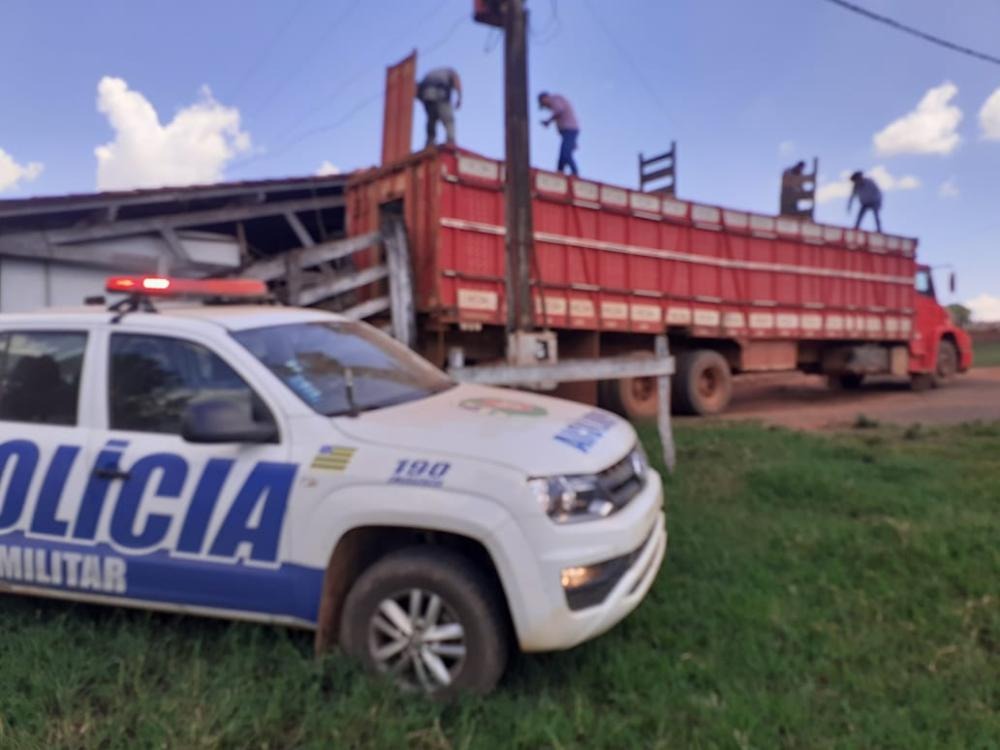 Três pessoas são presas suspeitas de furtar 34 gados em Cristalina