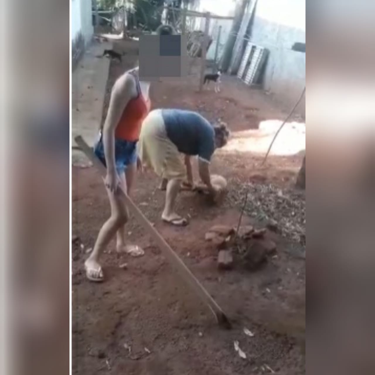 Uma mulher, de 58 anos, foi presa depois de ser flagrada agredindo um cachorro na cidade de São João da Paraúna. (Foto: reprodução)