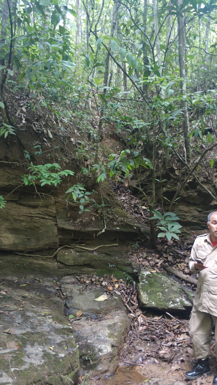Jovem é suspeito de matar e ocultar corpo de mulher japonesa, em Abadiânia