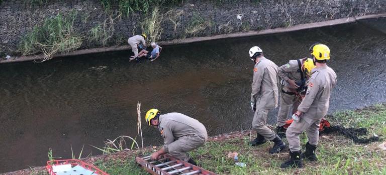 Bombeiros resgatam idoso de dentro de canalização da Marginal Botafogo