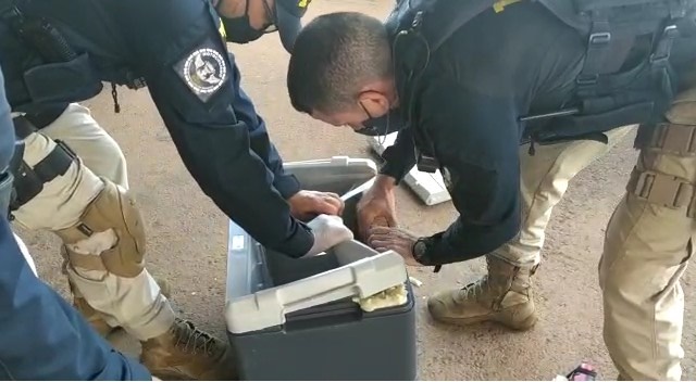 PRF apreende R$ 500 mil em cocaína na BR-060, em Anápolis