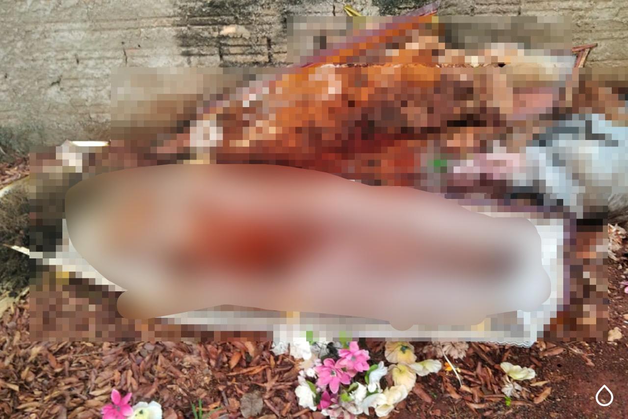 Caixão aberto estava entre detritos encontrados no cemitério por visitantes no dia de Finados (Foto: Reprodução Ministério Público de Goiás)