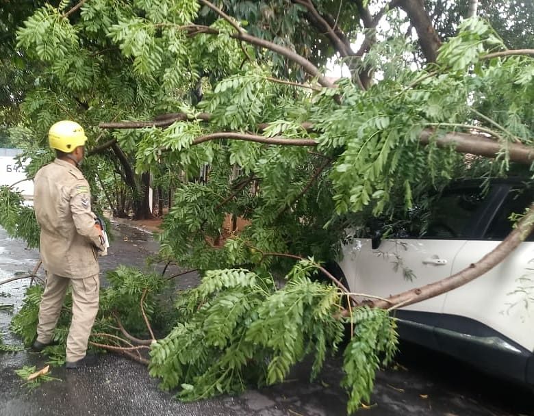 Chuva forte faz árvore cair em veículo, em São Luiz de Montes Belos