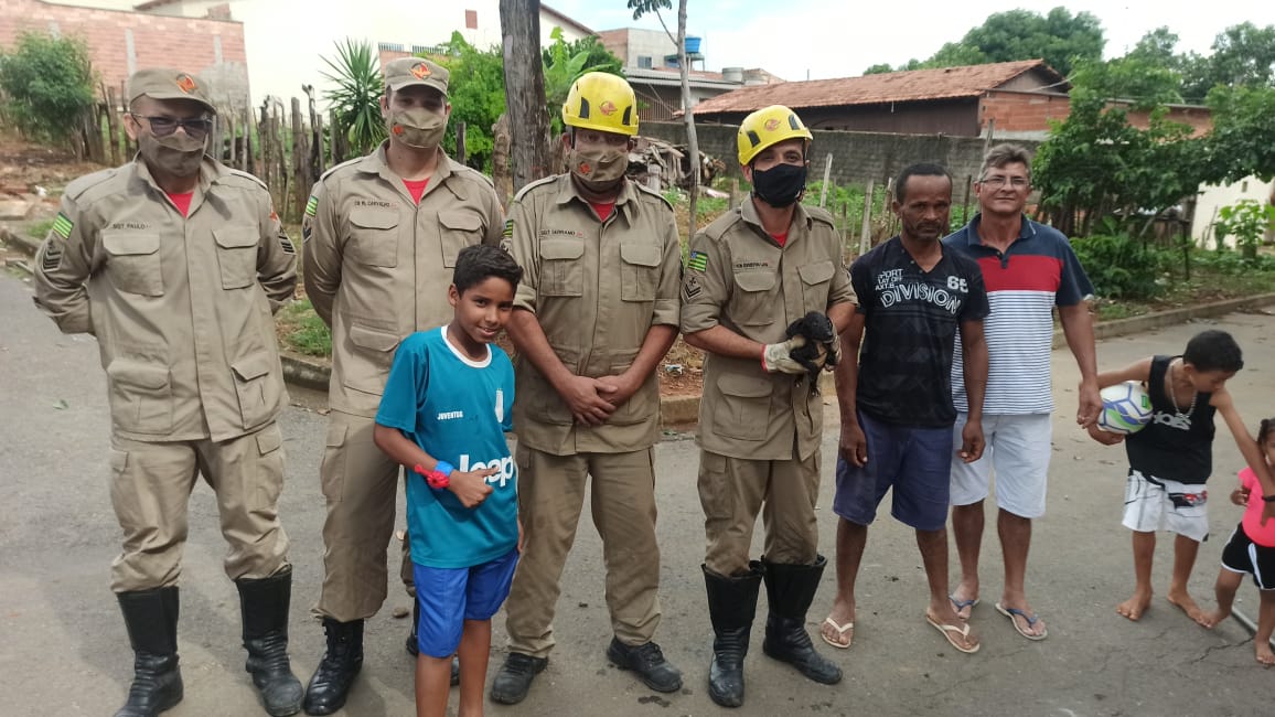 Bombeiros resgatam filhote de cachorro da rede de esgoto, em Aparecida