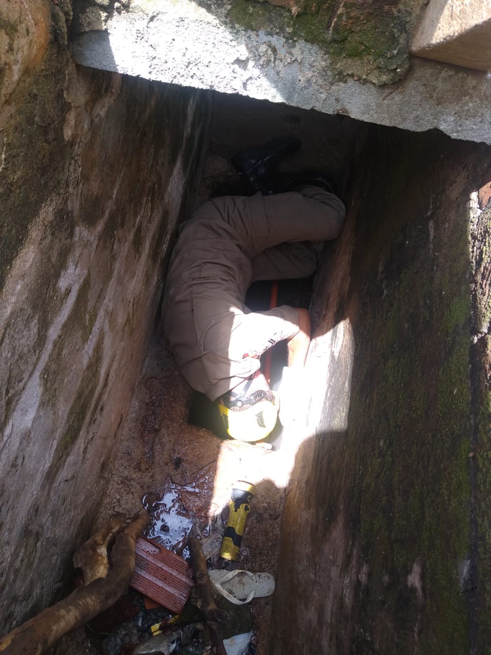 Bombeiros resgatam filhote de cachorro da rede de esgoto, em Aparecida