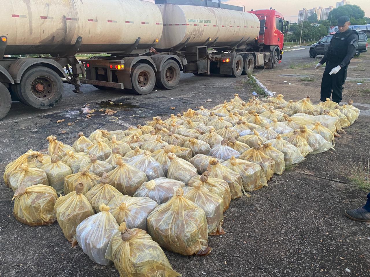 Policiais apreendem mais de 1 tonelada de maconha em caminhão na BR-060