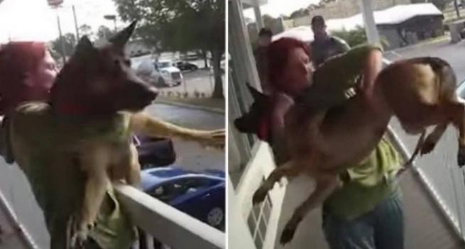 Mulher joga cachorro do segundo andar de hotel nos EUA