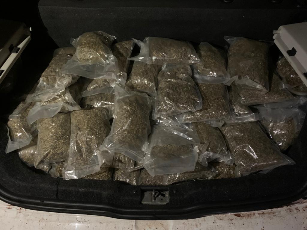 Policiais apreendem R$ 1,2 milhões em maconha em Caldas Novas