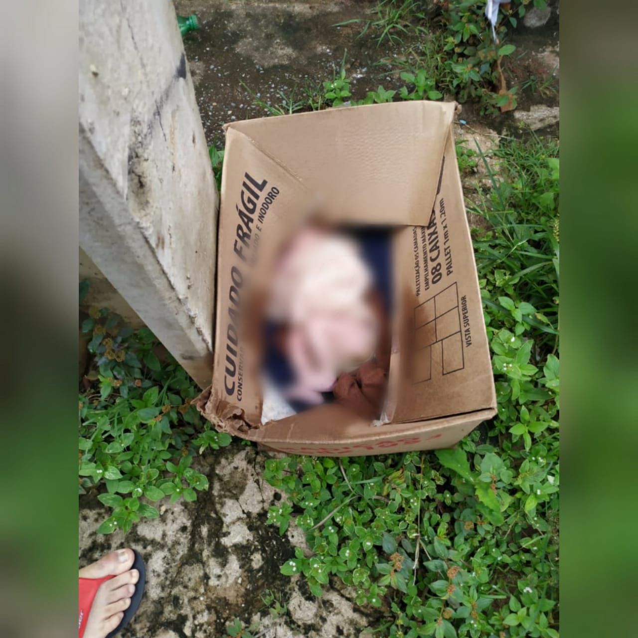 A mulher amamentou o bebê encontrado em uma caixa de papelão tem a intenção de adotar a criança. (Foto: reprodução)