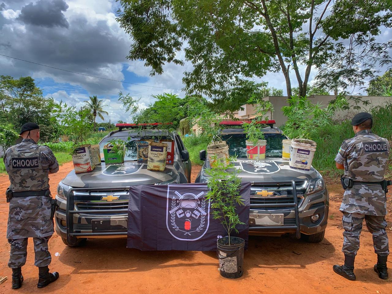 Líderes de seita religiosa são presos com pés de maconha, em Aparecida (Foto: divulgação/PM)