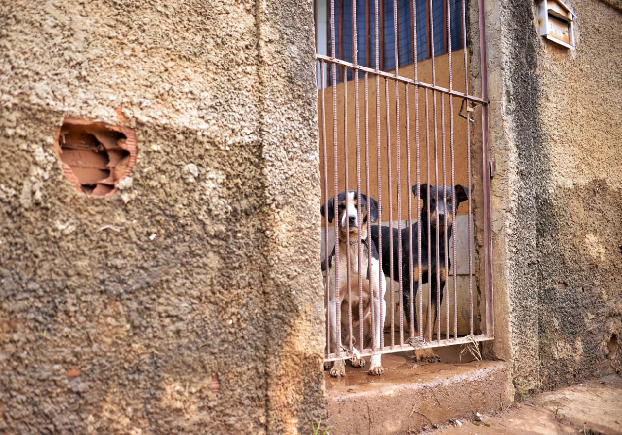 Susto pode causar taquicardia e morte (Foto: Jucimar de Sousa/Mais Goiás)