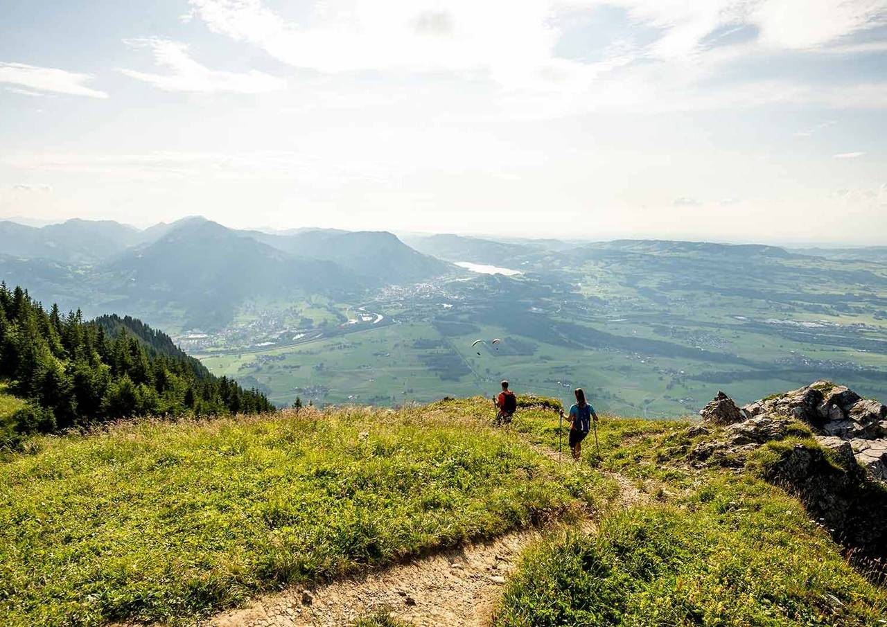Polícia investiga desaparecimento de escultura em formato de pênis; confira imagem