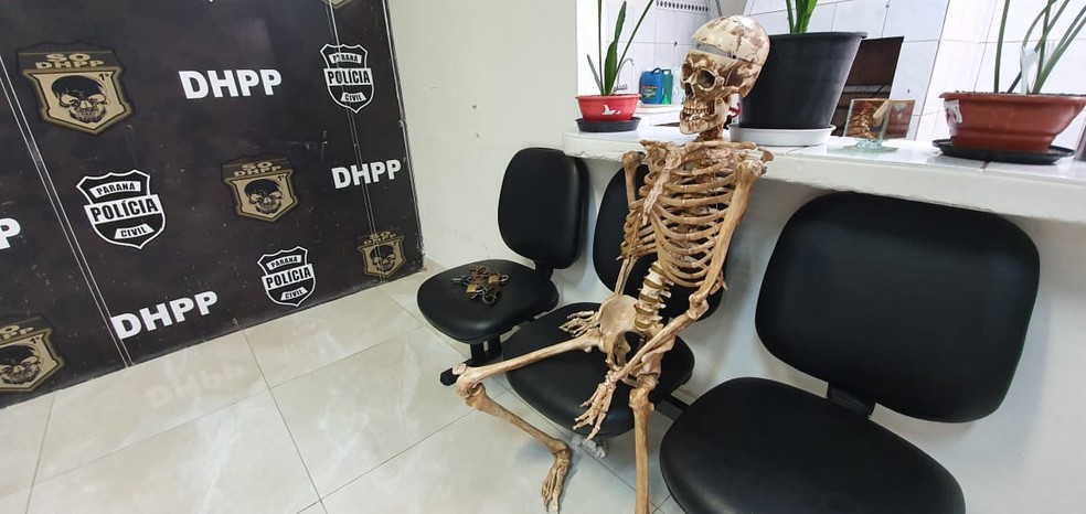 Polícia prende homem por usar esqueleto e pit-bull para atacar pessoas