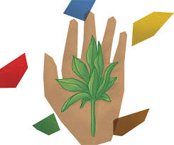 Premiação de reportagens de direitos humanos em Goiás acontece neste sábado