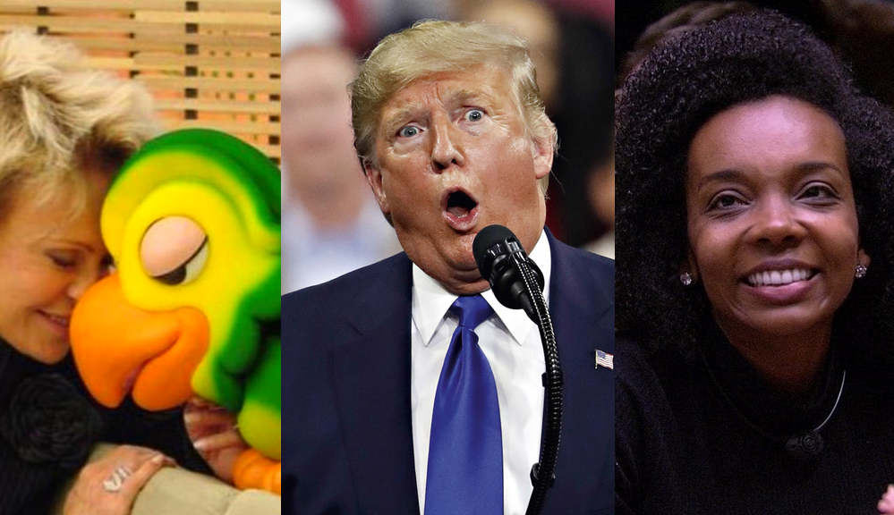 Confira a lista dos assuntos mais buscados no Google Brasil em 2020