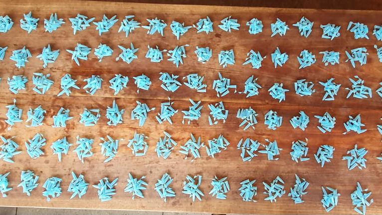 Polícia encontra mais de mil pinos de cocaína em mata, em Itaberaí