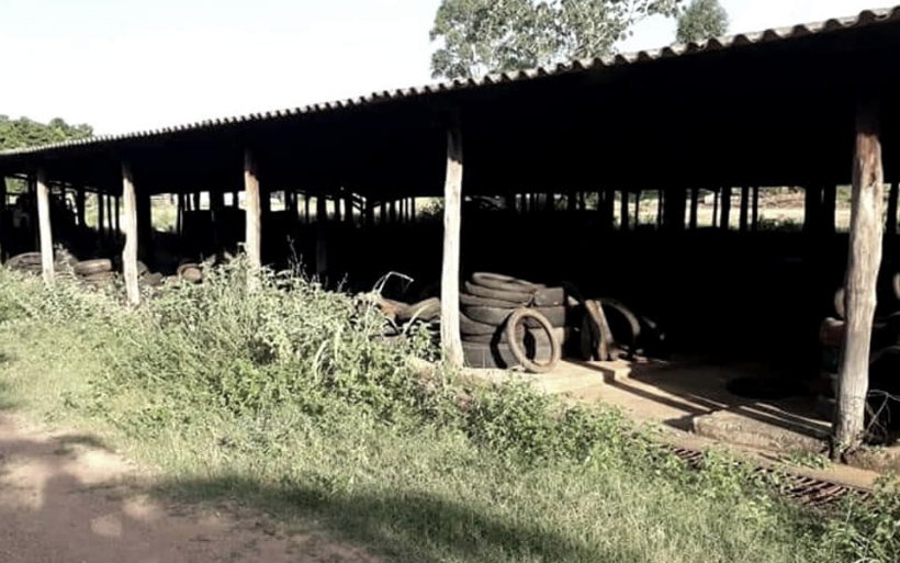 Mato alto acaba se tornando criadouro de mosquitos da dengue, segundo os moradores (Foto: Agência Press)