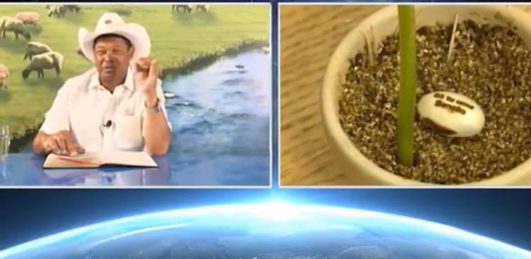 Justiça intima Saúde a fazer alerta sobre feijão de pastor que promete cura - feijões- ministério -