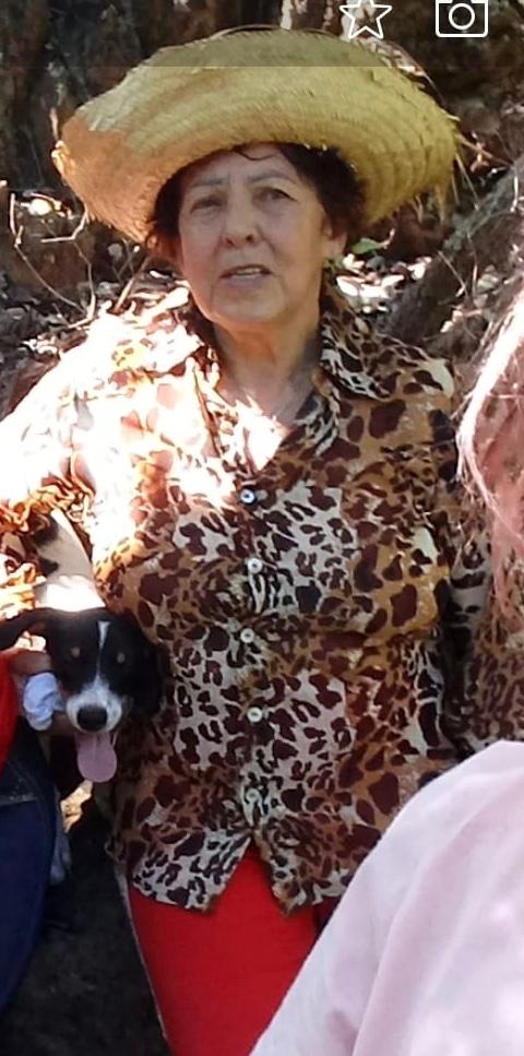 Cachorro que estava com idosa desaparecida volta para casa