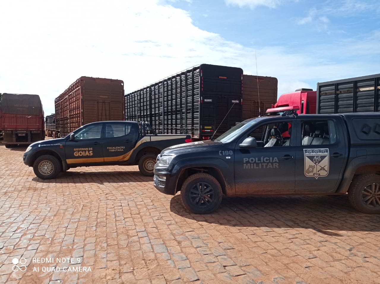 Polícia apreende 300 cabeças de gado sem procedência fiscal, em Itaguaru