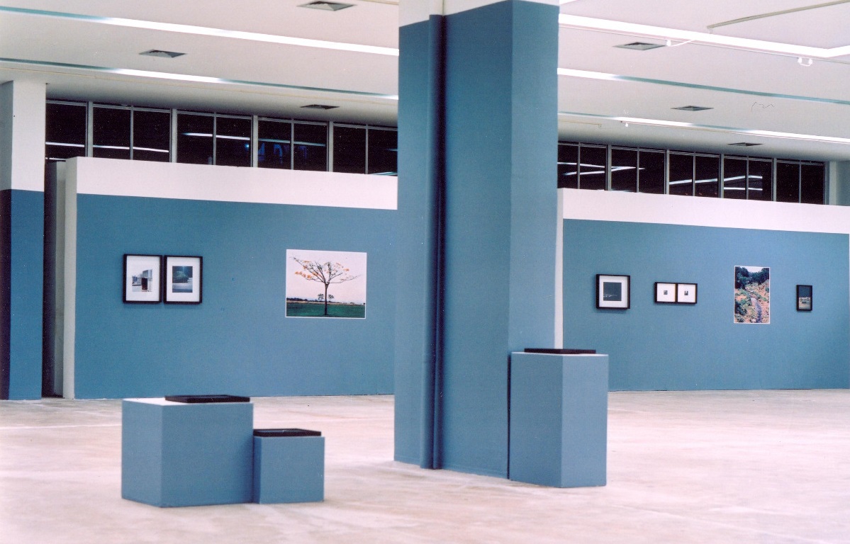 Artistas regionais criam frente para enfrentar desmonte cultural em Goiás