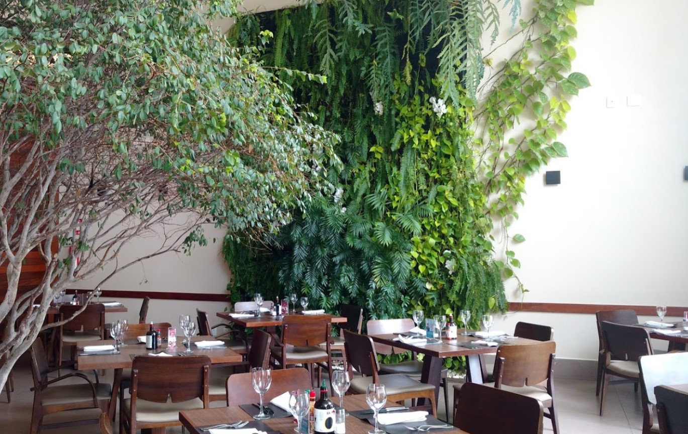 ar livre em Goiânia