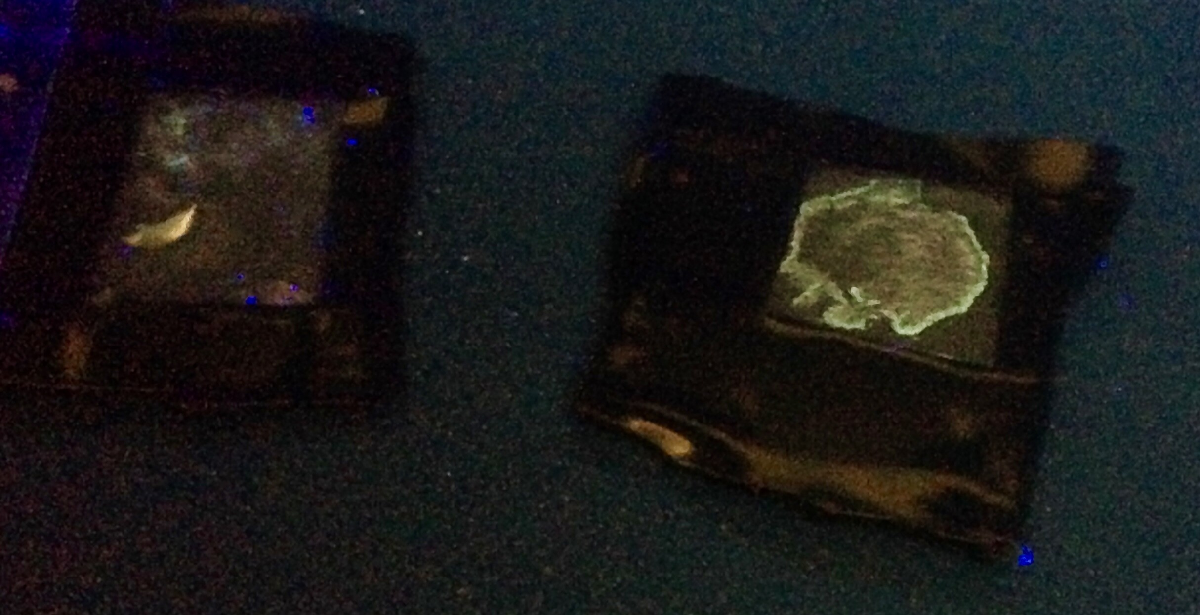 Covid-19: UFG consegue patente de sensor de oxigênio em fluidos - goiás