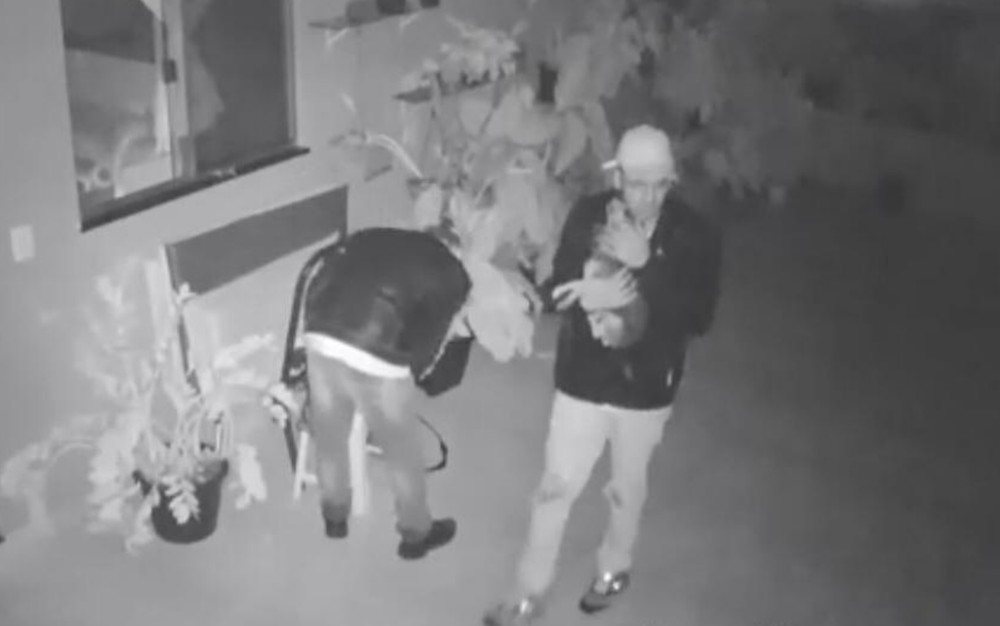Cachorro pede carinho a dois homens que furtavam casa em Jataí; veja vídeo