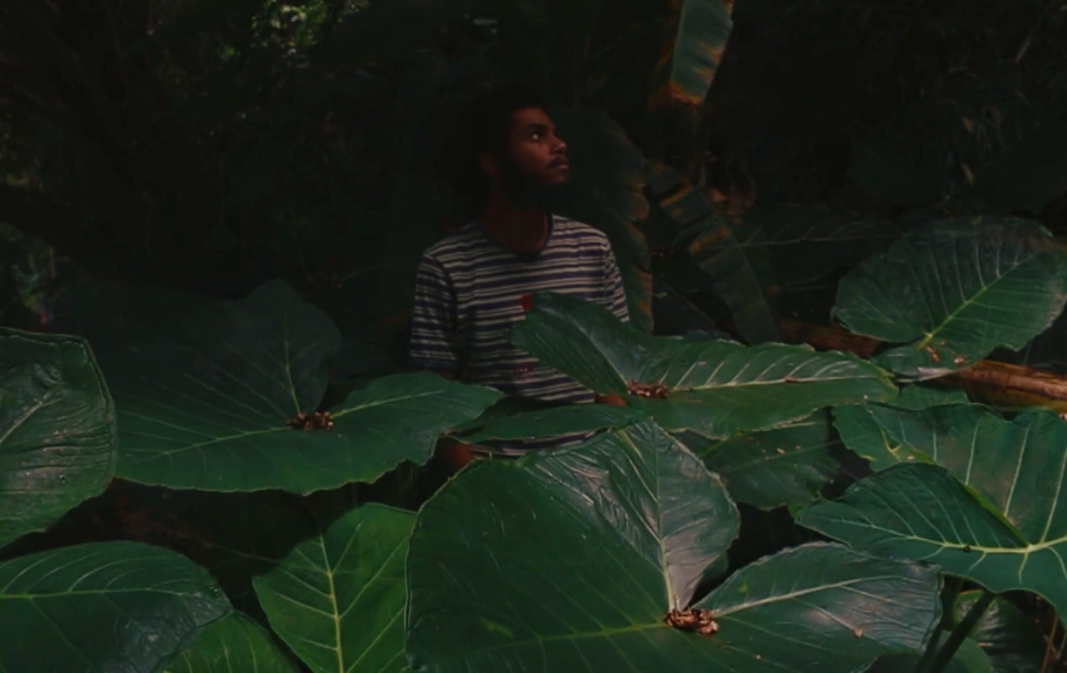 Choveu Há Pouco na Montanha Deserta | Mostra de Cinema de Tiradentes