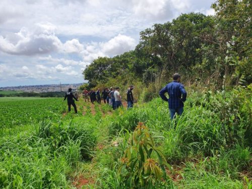 Polícia Civil prende cinco suspeitos de homicídio em Rio Verde