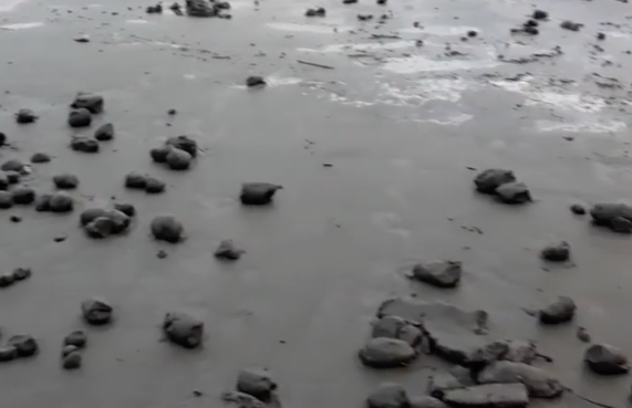 Bolas de lama surgem em praias de Peruíbe e intrigam moradores; vídeo
