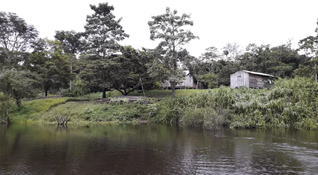 Arqueólogos descobrem 48 ilhas construídas por indígenas da era pré-colonial