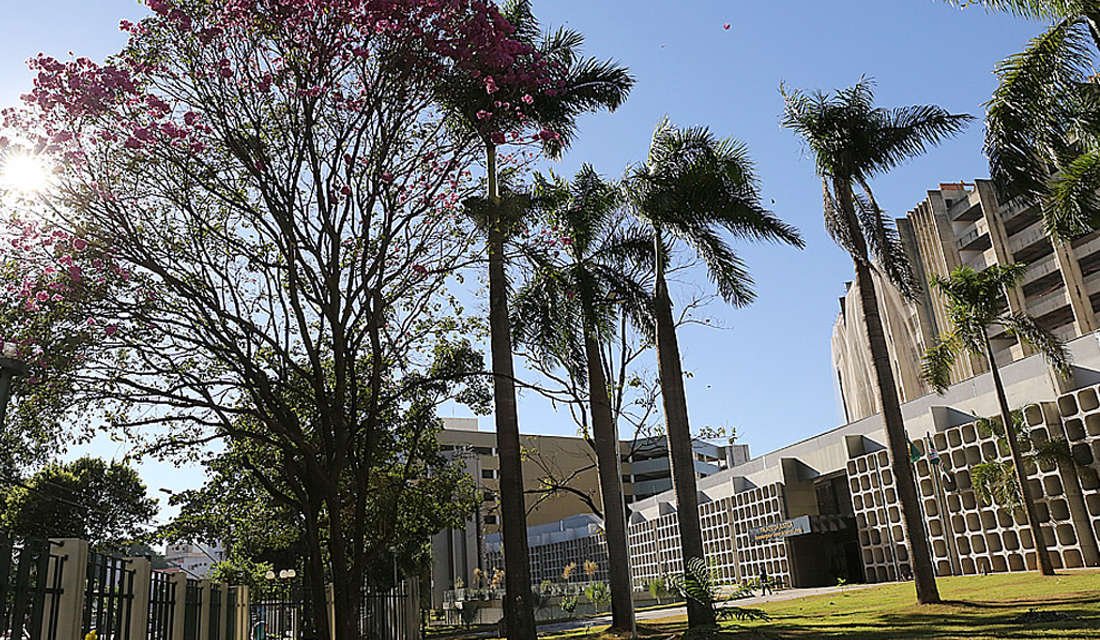 Goiânia: mulher acusada de matar companheira em 2018 vai a júri na segunda